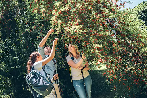 Tech-Free Family Vacations about Nature