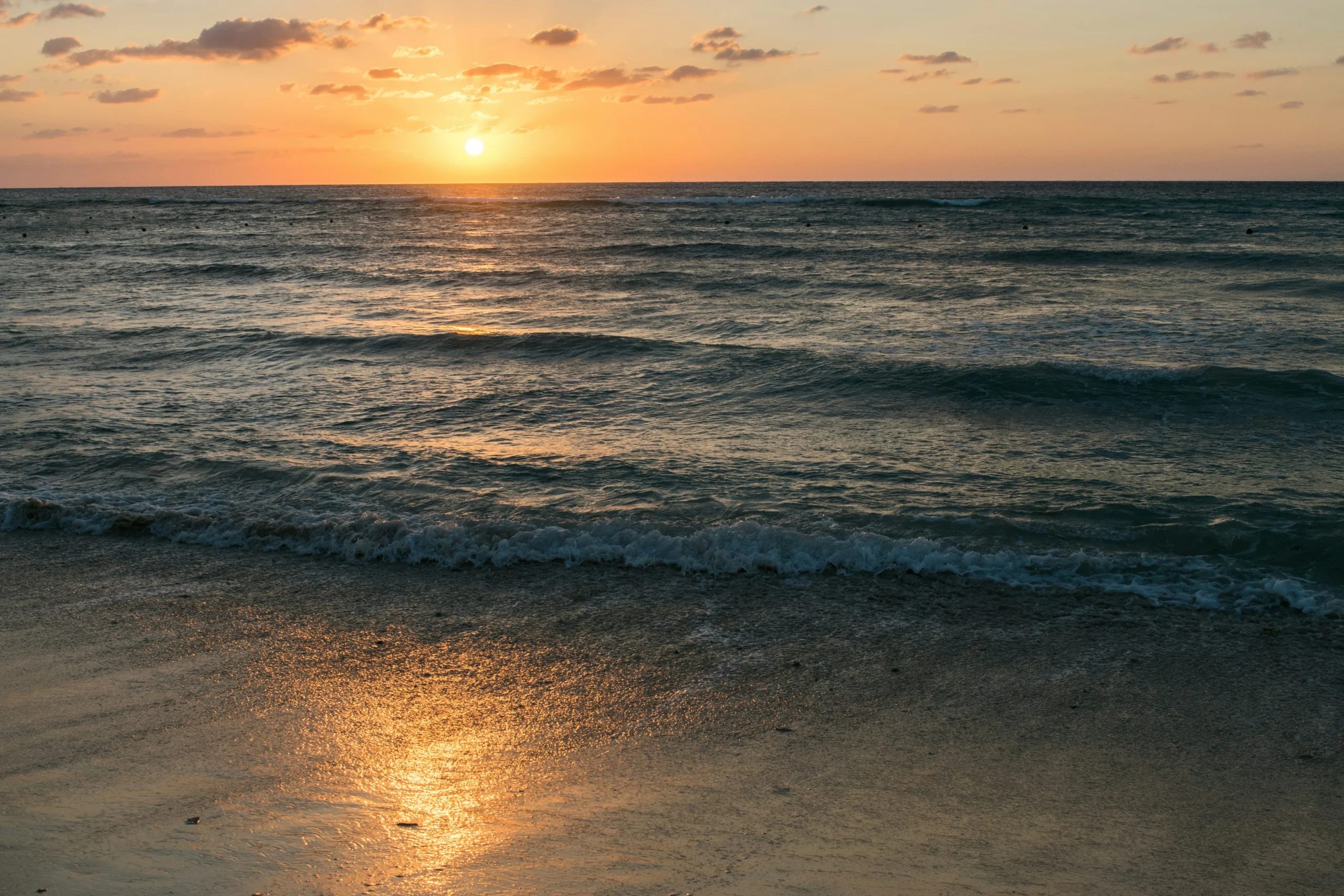Transformative Beach Cleanups