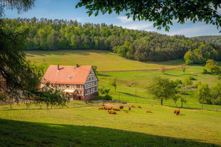 Best Farm Stays to Reconnect with Nature & Earth