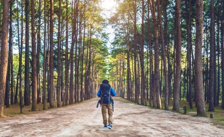 Digital Detox Retreat