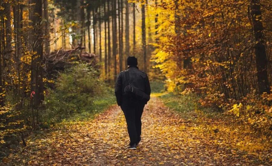Meditative Photography Walks for Mindful Travel: Travel Guide