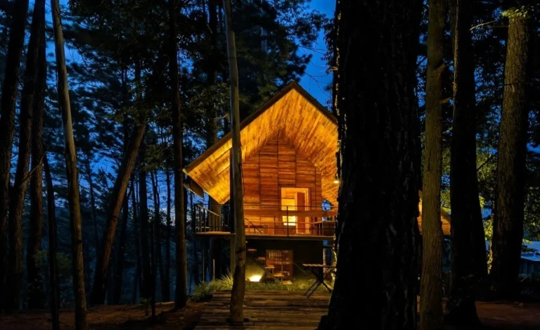 Nature Immersion Trips for Nature Traveller