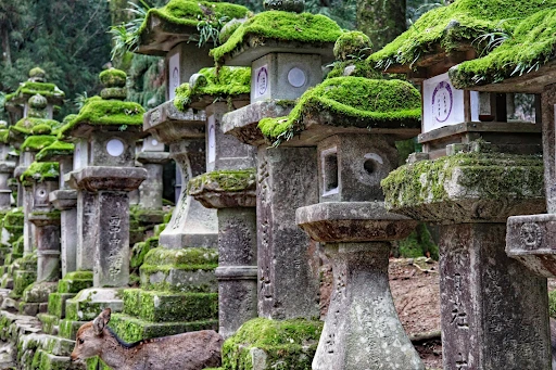 Offline Travel in Japan