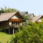 Tree House Resort