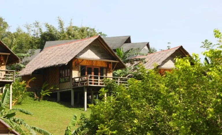Tree House Resort