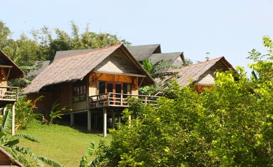 Tree House Resort